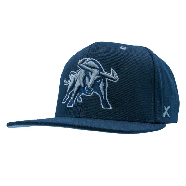 Embroidered Aggie Bull Navy Hat